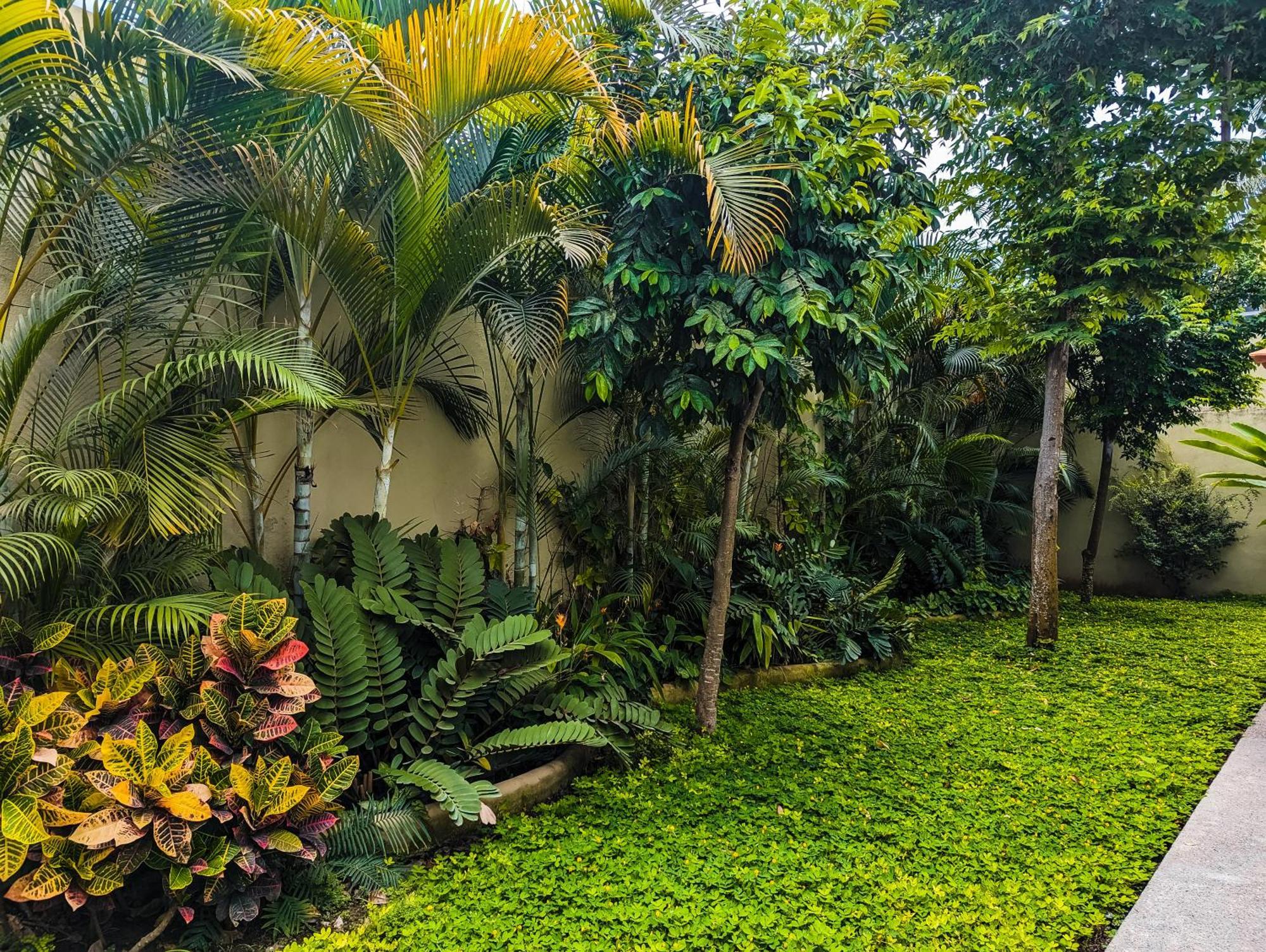 Los Gallos -Suite Vistas Panoramicas Lo de Marcos Ngoại thất bức ảnh