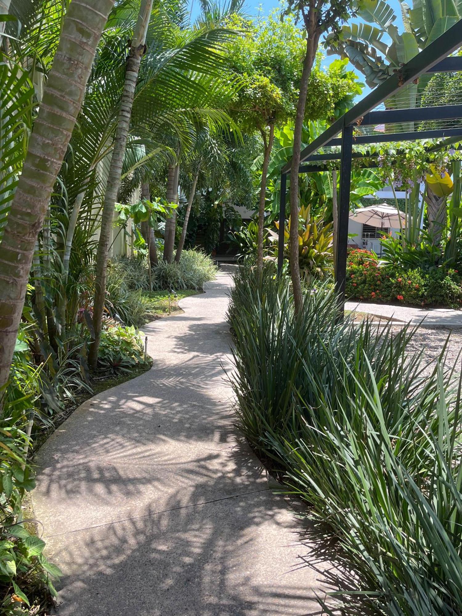 Los Gallos -Suite Vistas Panoramicas Lo de Marcos Ngoại thất bức ảnh
